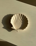 Conchiglia Trinket Tray