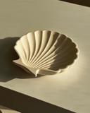 Conchiglia Trinket Tray