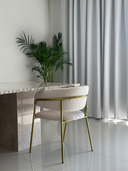 Telaio Dining Chair