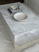 The Riella Coffee Table