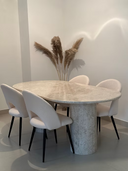 The Ayesha Dining Table