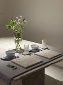 Placemat & Coaster Set - Greige