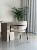 Telaio Dining Chair