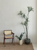 Rugged Travertine Vase