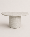 The Ayesha Coffee Table